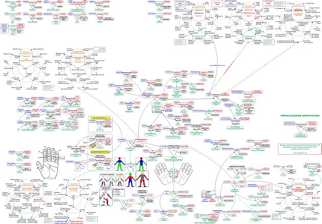 triorigin-schema