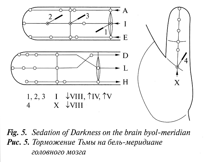 Journal_18_March07_pic05