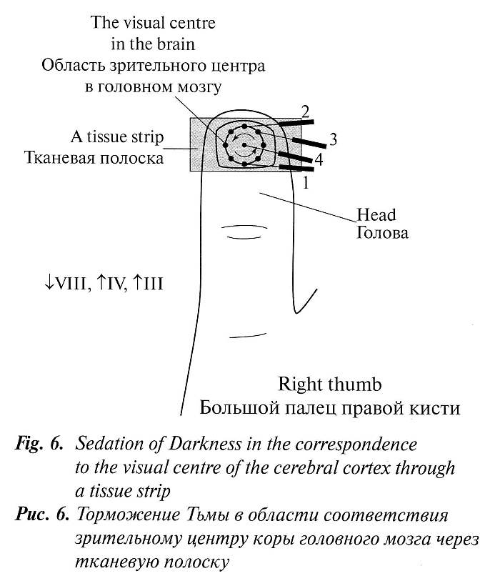 Journal_18_March07_pic06
