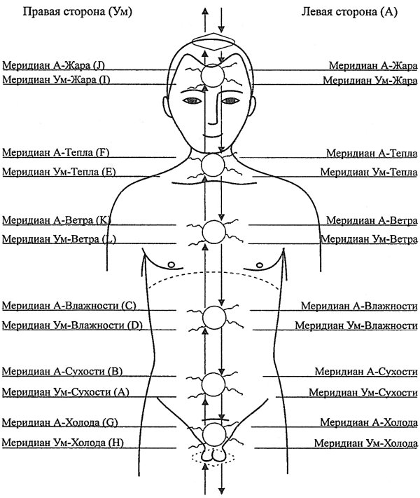 Су Джок. Связи меридианов с чакрами