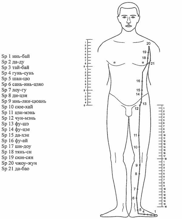 Меридиан селезенки (D)
