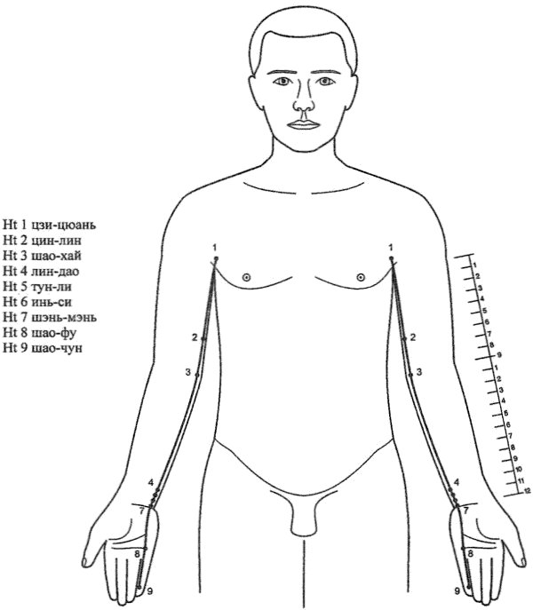 Меридиан сердца (E)