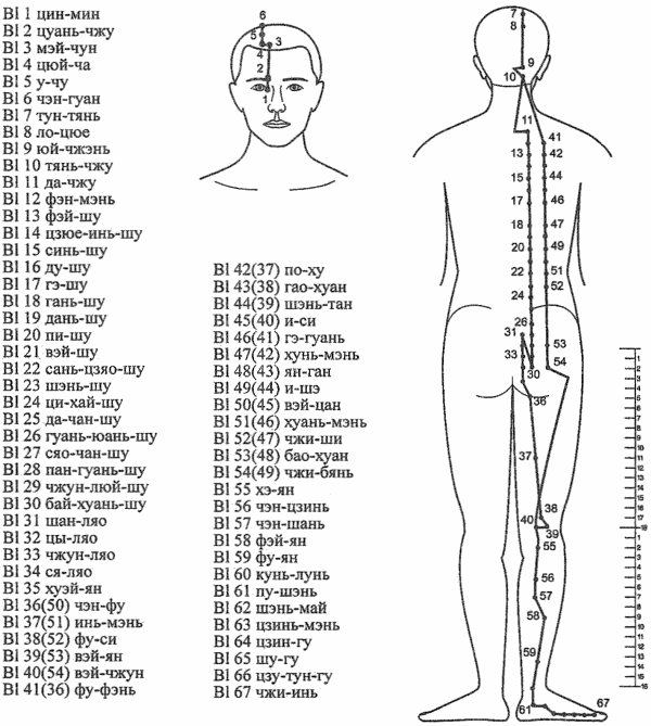 Меридиан мочевого пузыря (G)