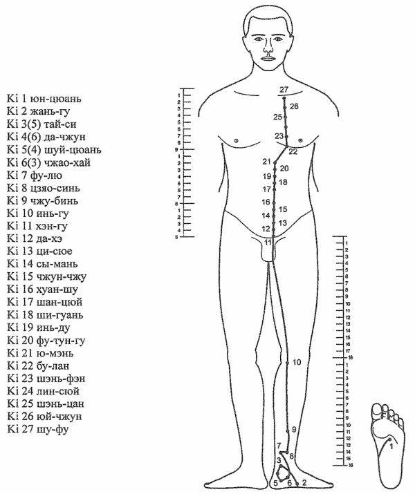 Меридиан почек (Н)