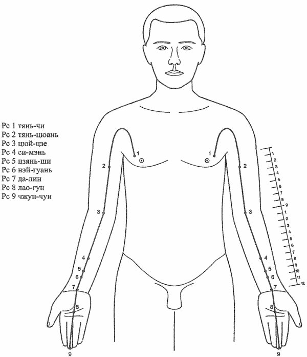 Меридиан головного мозга (перикарда) (I)