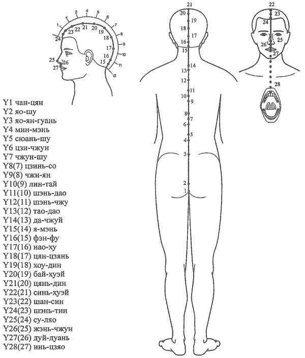 Меридиан Управителя (Y)